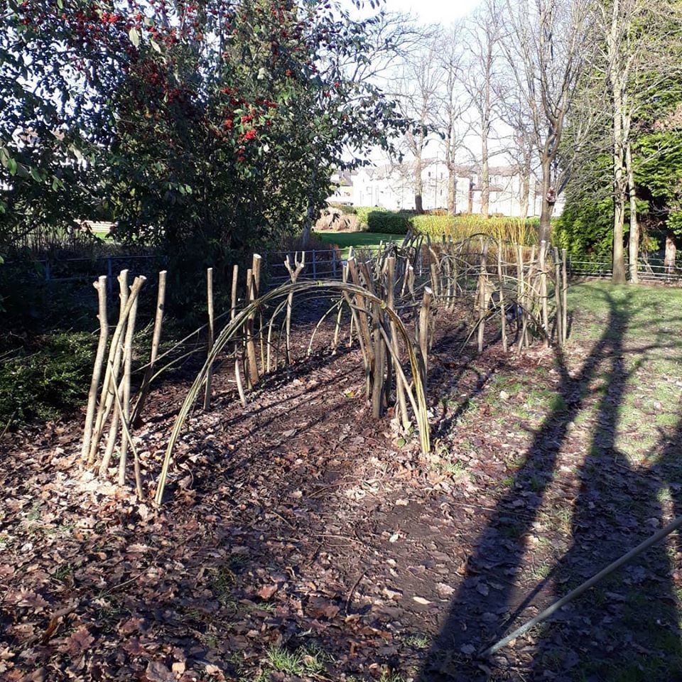 83907807_1090334041305690_3726254342576013312_o